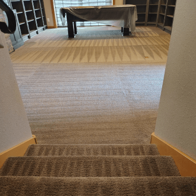 CARPET ODOR REMOVAL